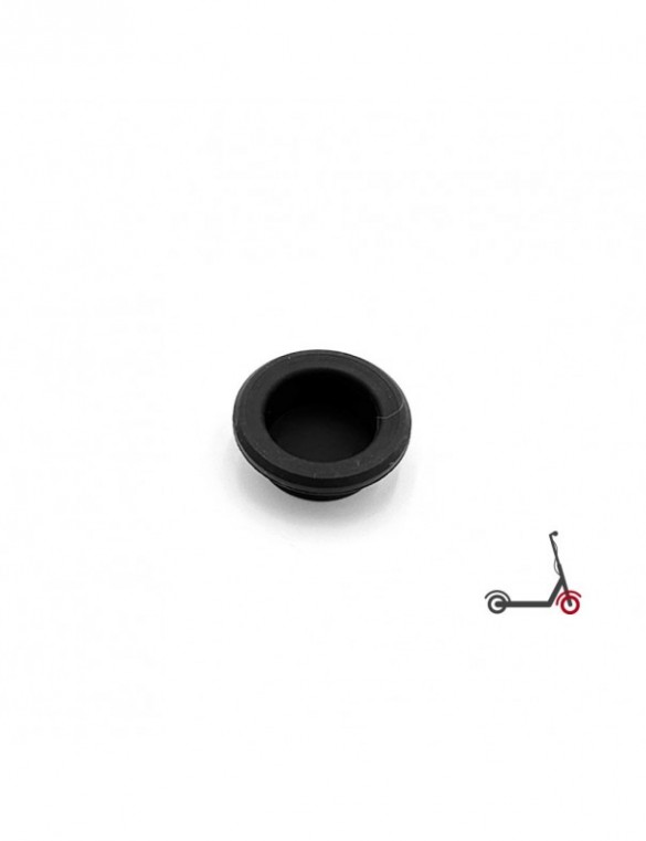 Bouchon de protection de la...