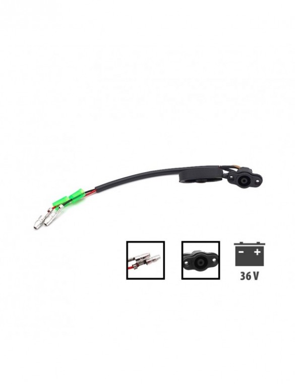 Port de charge Dualtron...