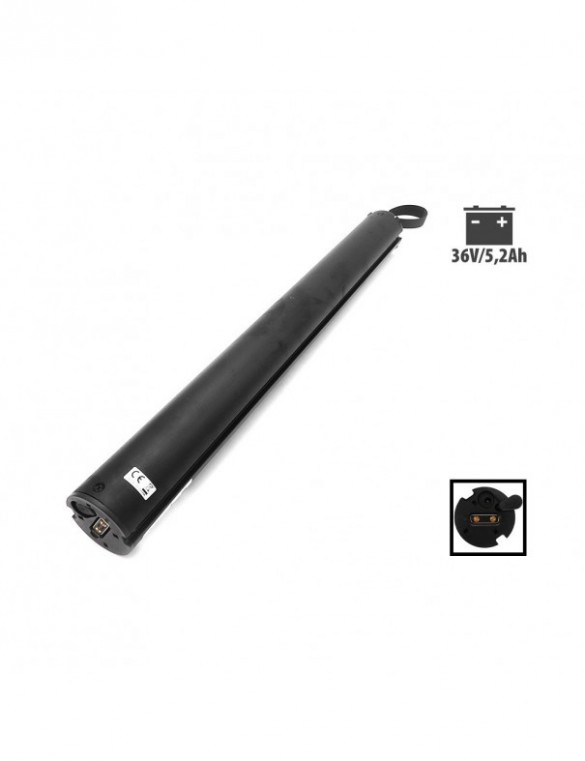 Batterie 36V 5.2Ah Cecotec...