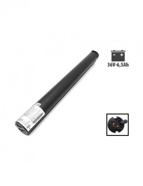 Batterie 36v 6.5Ah Cecotec...