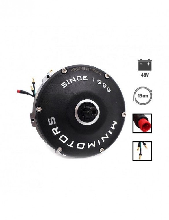 Moteur Dualtron Togo 48v