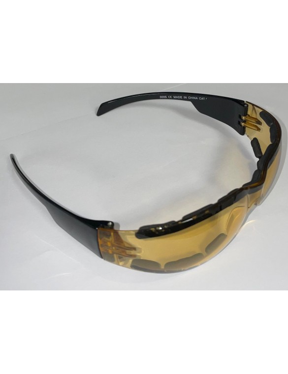 Lunette de Protection Domax