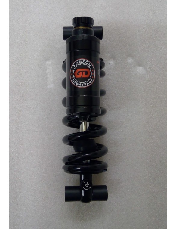 Suspension S19 ressort...