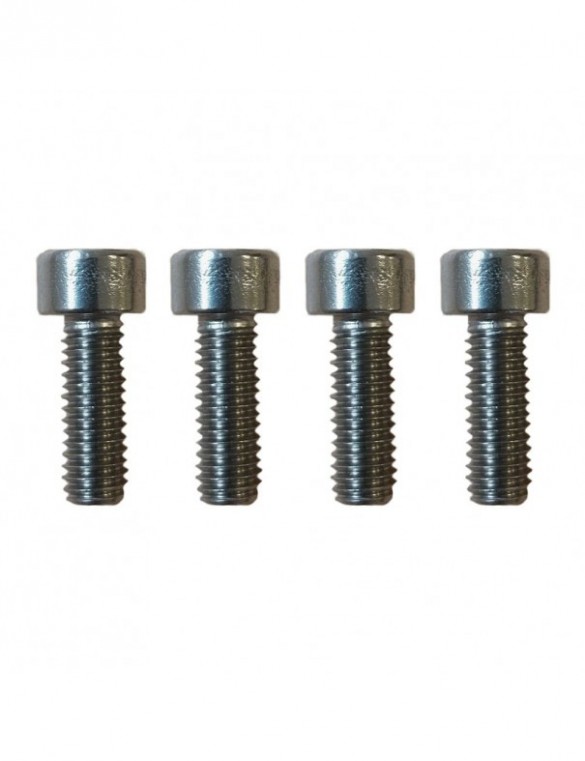 Vis support guidon Dualtron...