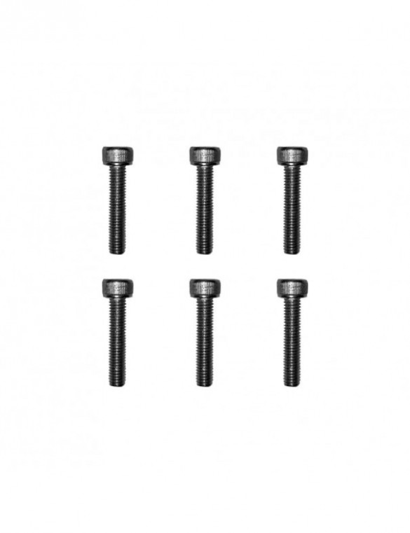 Vis jantes moteurs Dualtron...