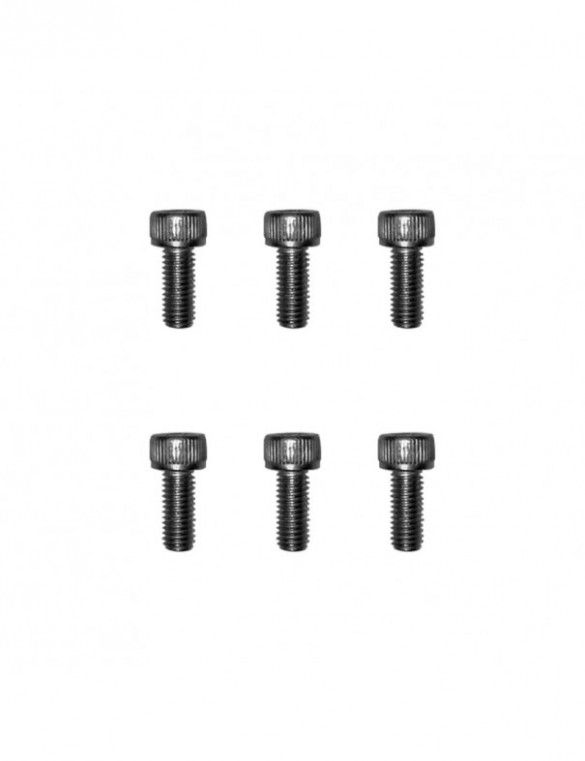 Vis gardes boue Dualtron X4pcs