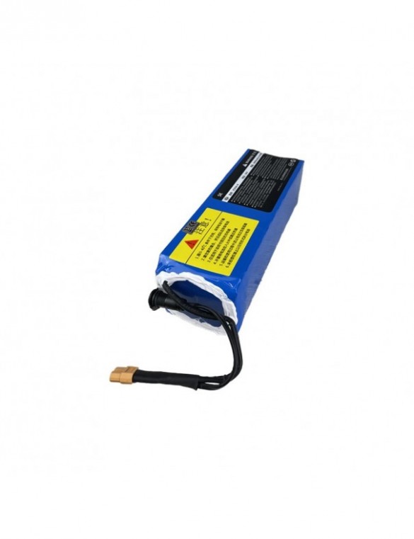 Batterie draisienne 36V 6Ah