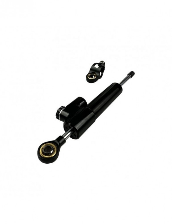 Vérin amortisseur de...