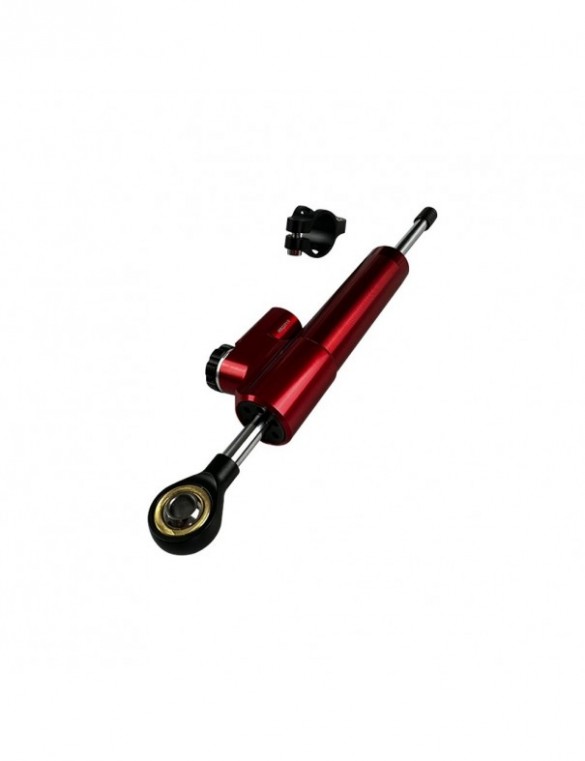 Vérin amortisseur de...