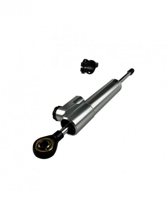 Vérin amortisseur de...