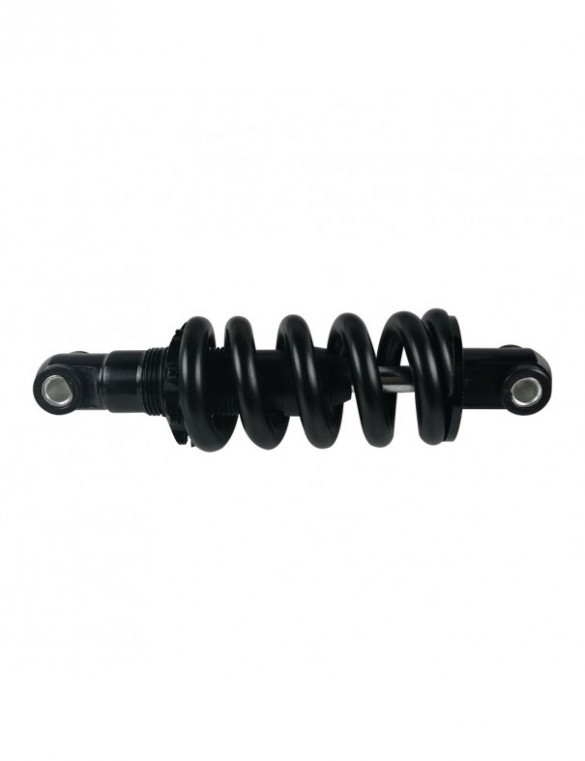 Amortisseur arrière Z10X