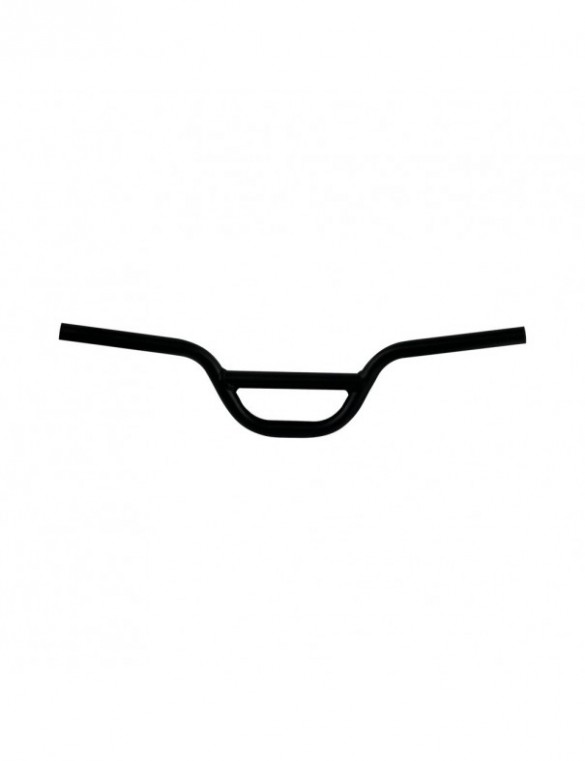 Guidon Dualtron Mini