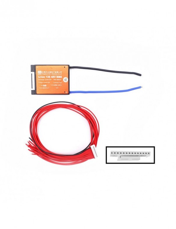 BMS Dali 48V 13S 20A