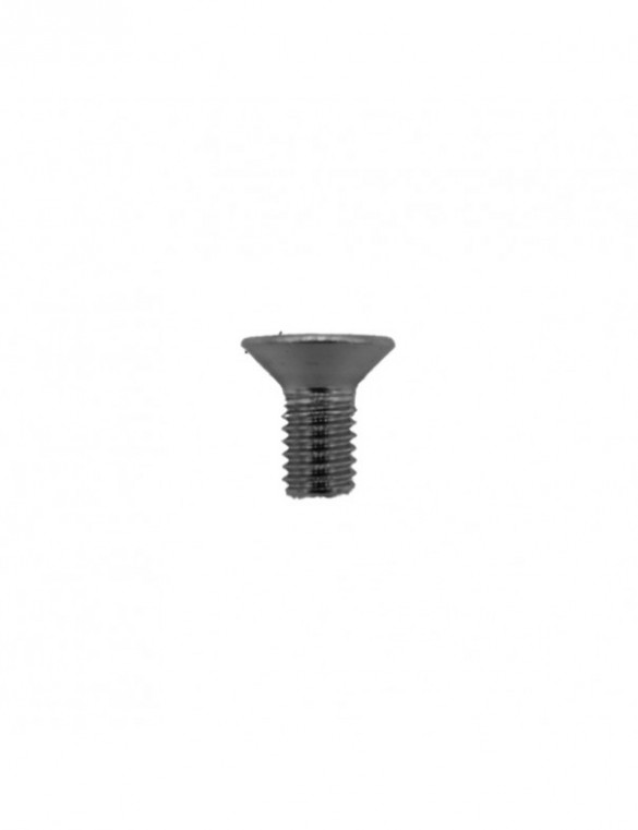 Vis Folding Dualtron Inox...